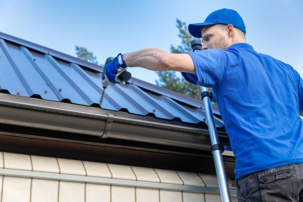 Best Roof Moss and Algae Removal  in Shoreview, MN