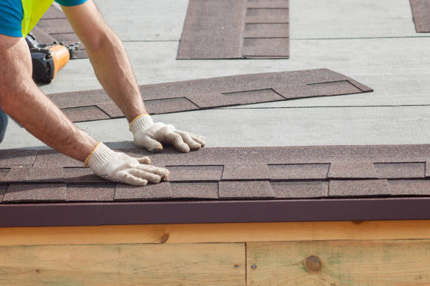 Best Rubber Roofing (EPDM, TPO)  in Shoreview, MN